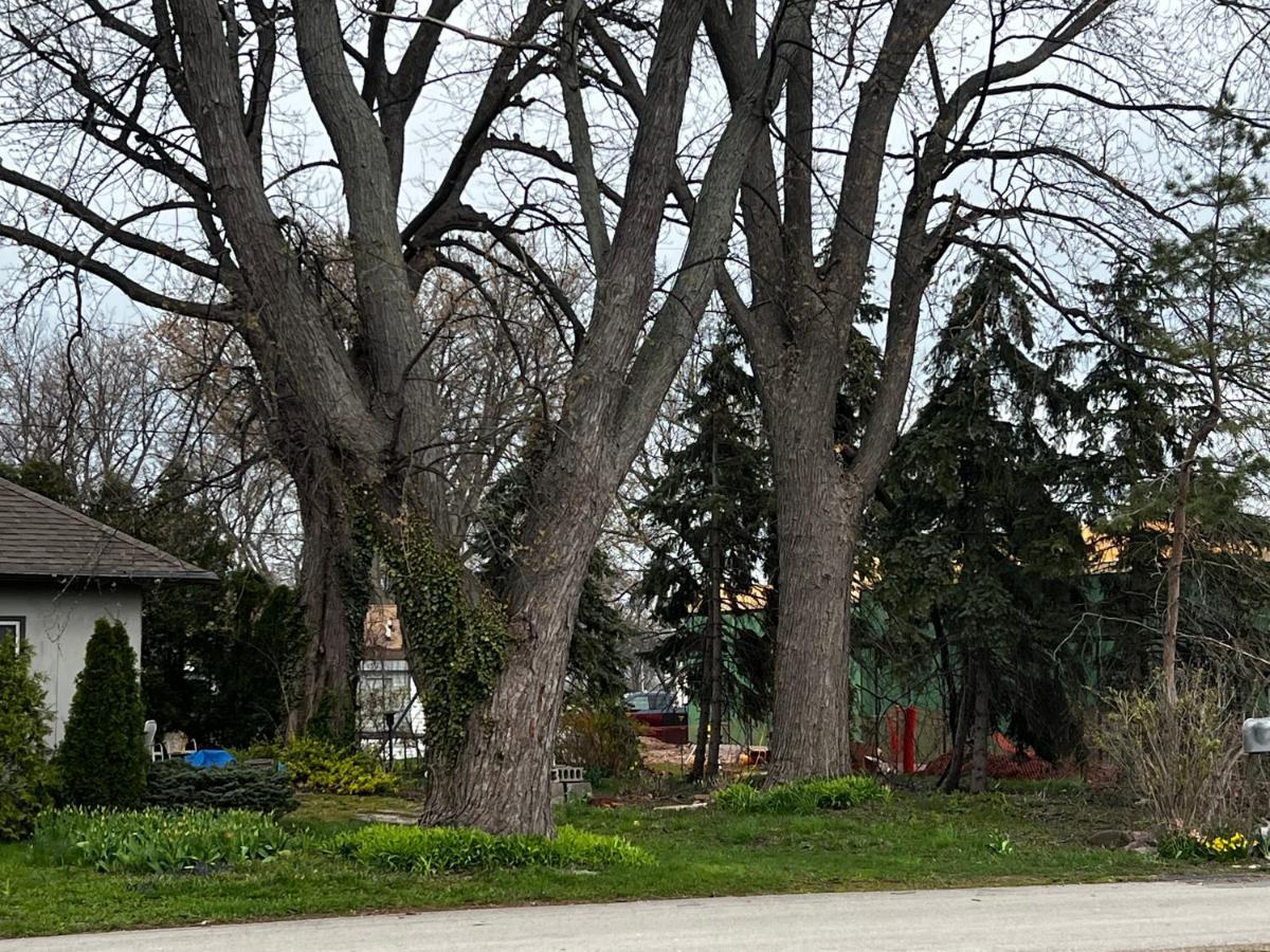 The Cedar Motel Sandusky Bagian luar foto